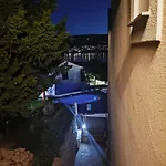 Marin パグ